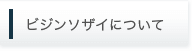 ビジンソザイについて